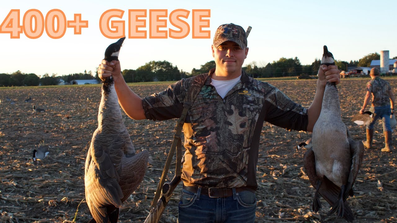 GOOSE Hunting Michigan Early Season success YouTube