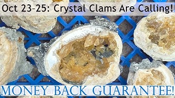 🎥 Dig Into the Rucks Pit Crystal Clam Festival!