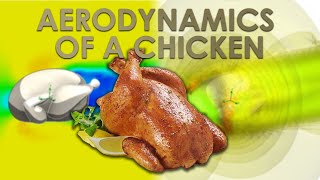 Chicken Aerodynamics - SolidWorks Simulation by Matias Costa 2,236 views 3 years ago 4 minutes, 17 seconds
