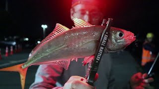 Ajing Fishing NZ | Ultralight Fishing | Micro Softbaiting screenshot 5