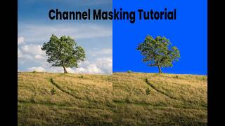 CLASS 7  :Software photoshop  : TOPIC - channel masking application tree screenshot 5