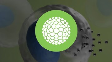 Nanotechnology (Scientific Standards Hub)