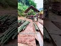 Bamboo on the Move 🌿 🚜✨ #SimpleTech #RuralIndustry #EverydayScience