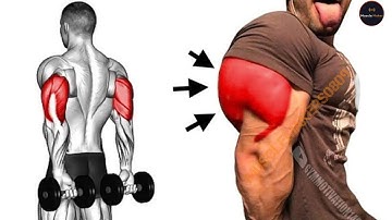 Do these 5 exercises to grow your triceps!👈🏾💯(No Equipment)#trending #youtube @MuscleMakers0809