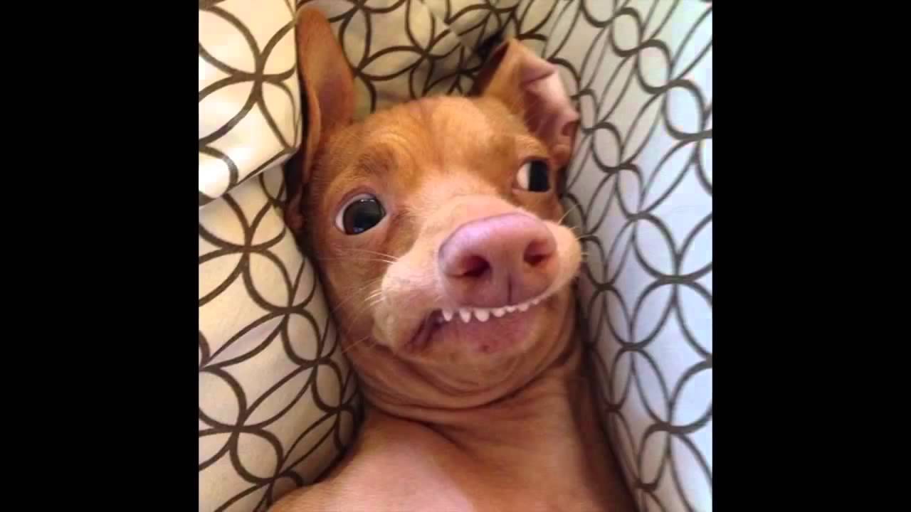 The Black Keys Phteven - YouTube, image size:1280x720