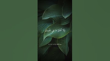 تلاوة جميلة لصوت ماهر المعيقلي ارح سمعك حالات واتس .
