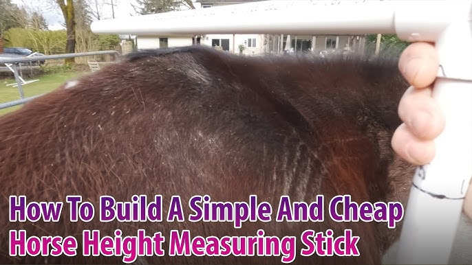 Tough 1 Horse Standard Height Measuring Stick by JT International