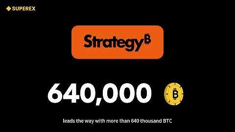 Who Owns the Most Bitcoin? (2025 Update: Satoshi, BlackRock, Governments & More)