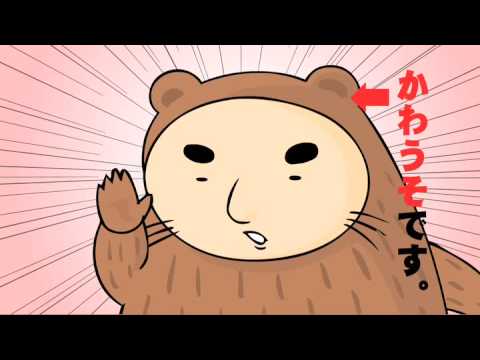 伝染るんです Cm かわうそ編 Youtube