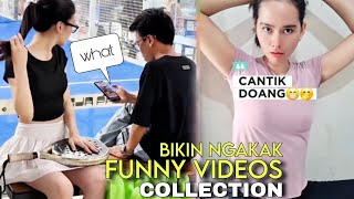 FUNNY VIDEOS COLLECTION ‼️SURPRISE MAKE YOU LAUGH ‼️ VIRAL FUNNY VIDEOS 2025
