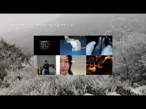 December in Jeju ❅ 12월의 제주 | 여자 혼자 겨울 한라산 등반. 한주훈 요가원. 제주 시내. 함덕 해수욕장. 상상 함덕. 제주 인생네컷. 산요작티. 여행 vlog