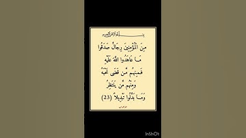 سورة الاحزاب - سورة 33 - اية 23