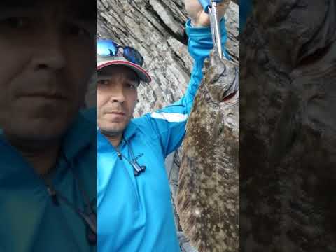 Камбала с берега