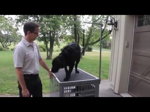 Zinger Aluminum Dog Crate - Accessories (Grooming Top & Arm)