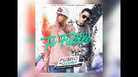 Pusho Ft Ozuna - Te fuiste (Audio Oficial)