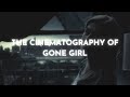 The Cinematography Of Gone Girl