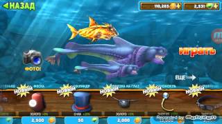 Обзор всех акул в игре Hungry Shark Evolution Обзор всех акул в игре Hungry Shark Evolution