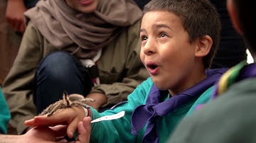 The Scout Association - AGM Film 2017