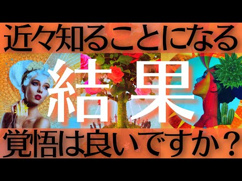 【意外な結果続出‼️】あなたはまもなく驚きの結果を知ることになるようです💫【タロットルノルマンオラクルカードで細密深掘りリーディング🌈🌼】