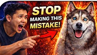 5 Mistakes That Make Your Husky More Stubborn Husky Dog My Husky Spirit