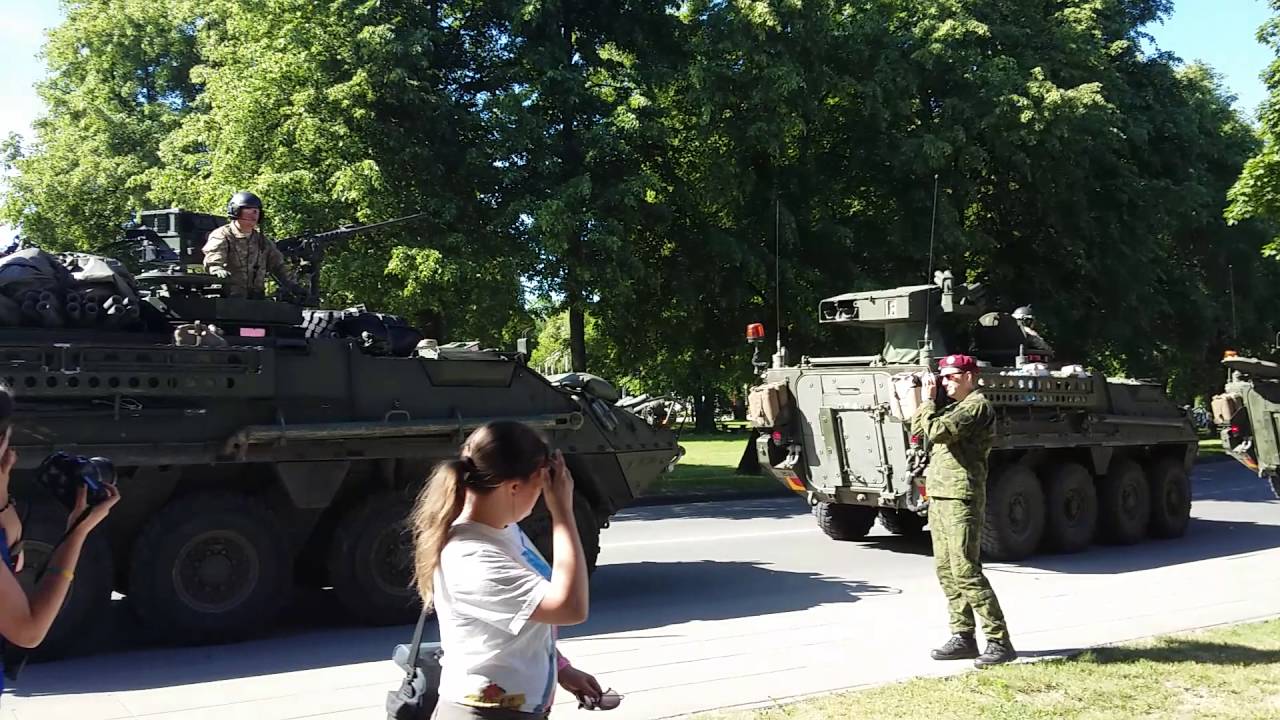 Prostatos narkotikų mavito apžvalgos