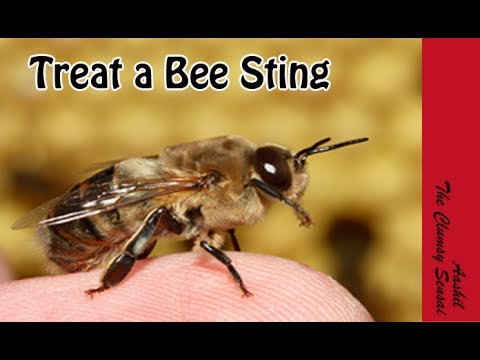 How To Treat A Bee Sting In Tamil Youtube