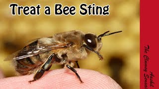 How To Treat A Bee Sting In Tamil Youtube