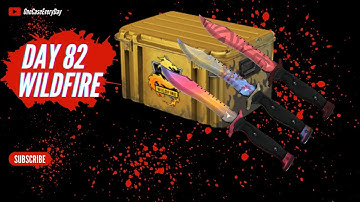 Opening a CS:GO case every day until i get a knife or gloves, Operation Wildfire Case, Day 82