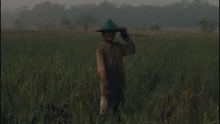 Usik - Feby Putri (Short Clip)