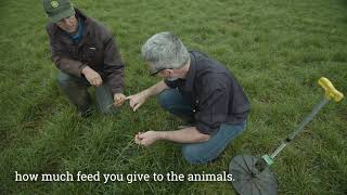 Profitable Grazing Systems – case study video