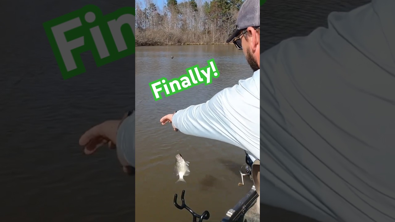 Сколько человек он поймал за час?!?!? 