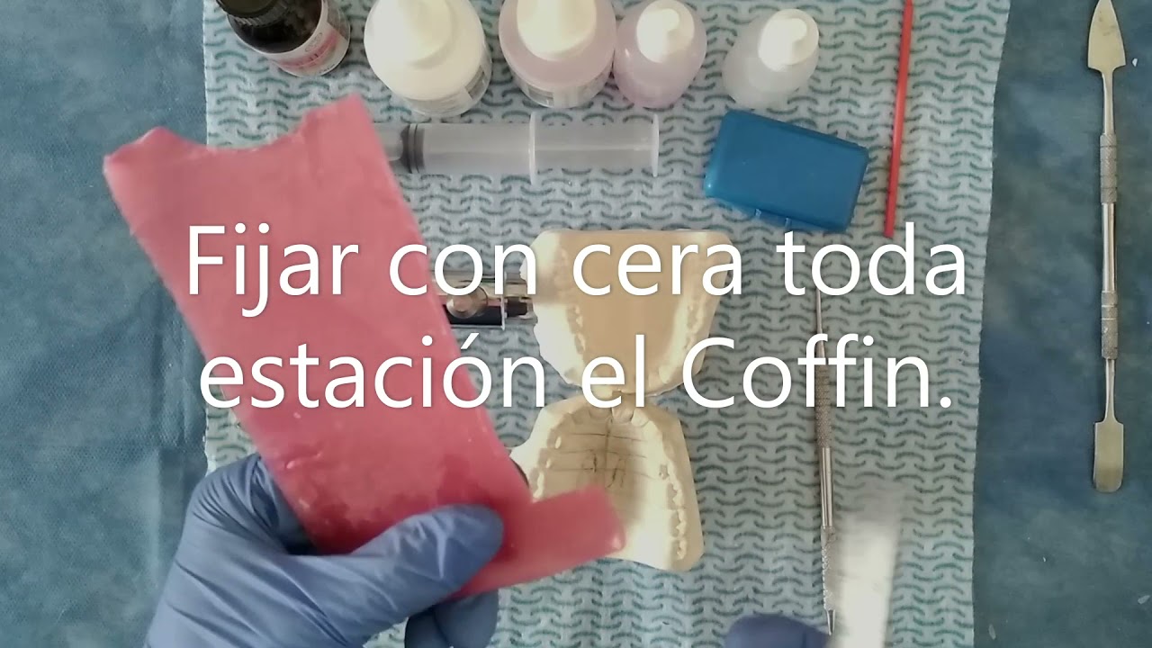 BIONATOR tutorial para elaboración