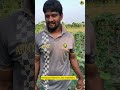 শসা ক্ষেতে ফেরামন ফাঁদের দারুণ ব্যবহার 😱🐛 #শসা #everyone #কৃষি #agriculture #ফেঁরামন_ফাঁদ #পোকা_দমন