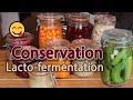 La lacto-fermentation, une méthode de conservation sans danger et peu énergivore.
