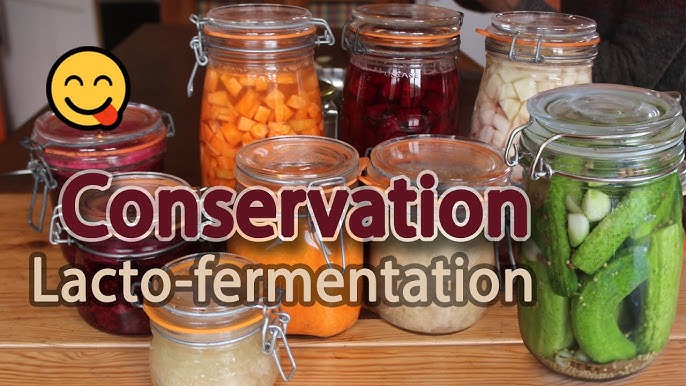 Lacto-fermentation] Des conserves de légumes sans stérilisation, c'est  possible et facile !