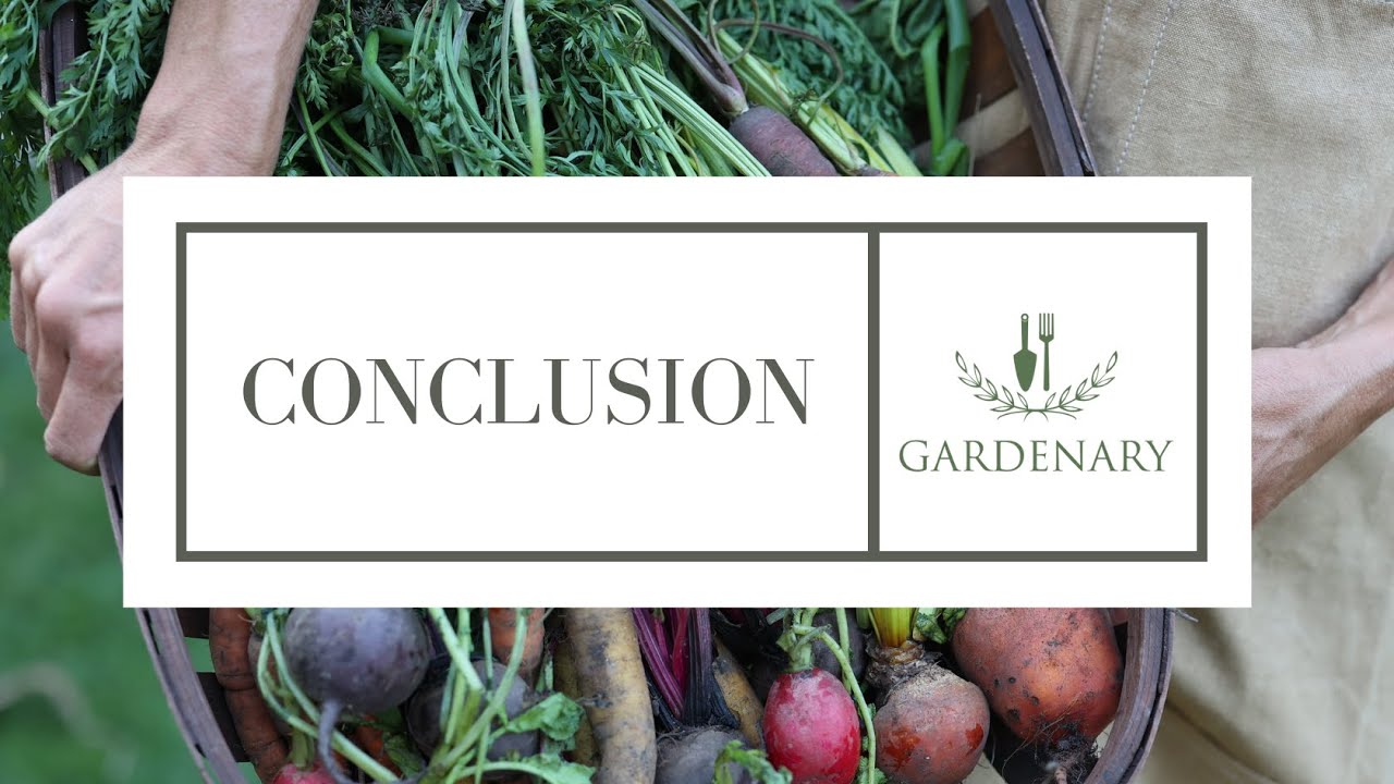 Conclusion