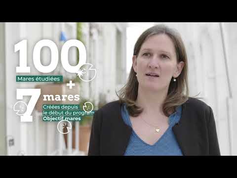 Objectif MARES : premier bilan !