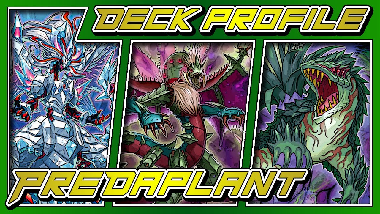 YU-GI-OH! TCG | PREDAPLANT BRANDED DECK PROFILE | AS PLANTAS VOLTARAM PARA O JOGO!