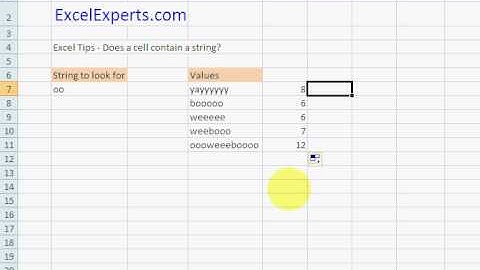 ExcelExperts.com - Excel Tips - Does a cell contain a string