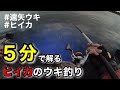 【冬の醍醐味】簡単ヒイカ釣り！ウキ釣り初心者でも釣る方法
