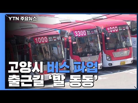 고양시 버스 파업...출근길 시민들 &#39;발 동동&#39; / YTN