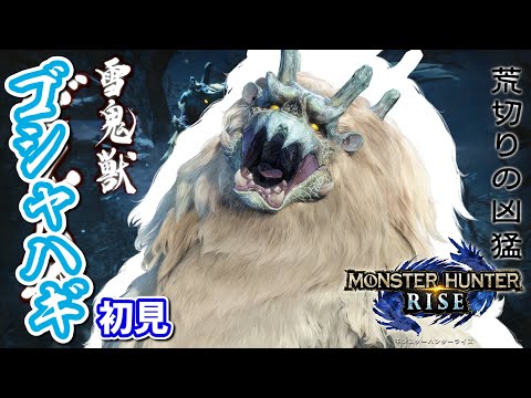 【MHRise実況】#21 初対面ゴシャハギとの殴り合い【モンスターハンターライズ】