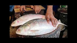 Fisherman Cutting & Filleting Alive Biggest Grouper Lutjanus Rivulatus, Star Snapper Hong Kong