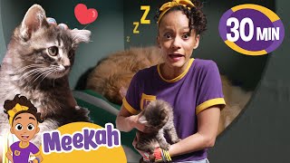 meekah s magical cat day educational videos kids blippi