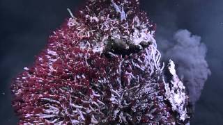 Endeavour Hydrothermal Vents