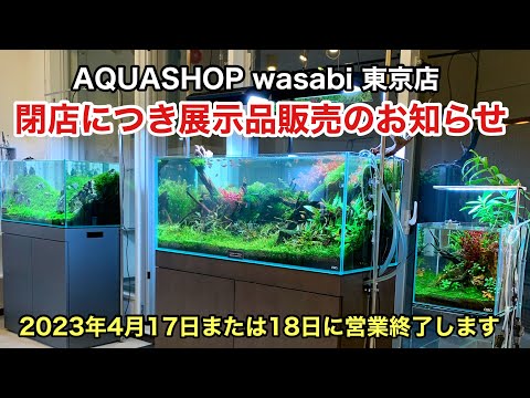 60センチ水槽 ハイタイプ 引退品