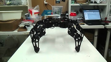 hexapod mark phoenix code(1)