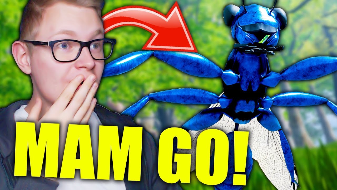 POLOWANIE NA NIEBIESKĄ OSĘ *jest silna*  | ŻYCIE PAJĄKA