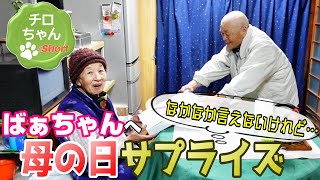 サプライズでばあちゃんに母の日のプレゼント。#shorts