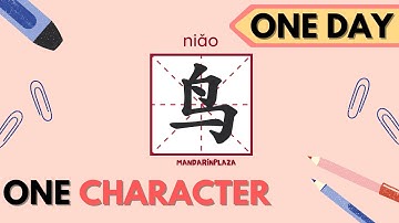 Write Chinese Character：鸟| 汉字：鸟｜Chinese beginner exercise｜Chinese calligraphy｜Chinese culture
